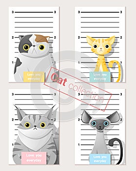 Mugshot of cute cats holding a banner
