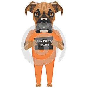 Mugshot prison clothes dog Boxer