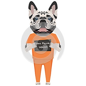 Mugshot prison clothes dog French Bulldog