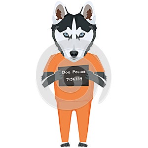 Mugshot prison clothes dog Husky