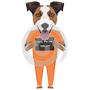 Mugshot prison clothes dog Jack Russell Terrier