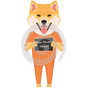 Mugshot prison clothes dog Shiba Inu