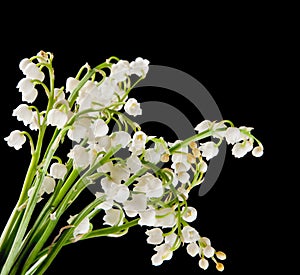 Muguet bouquet