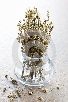 Mugwort in a glass
