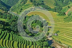 Mui Giay spot and Terraced rice field of the H`Mong ethnic people