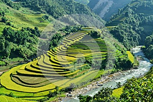 Mui Giay spot and Terraced rice field of the H`Mong ethnic people