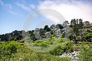 Muir Beach California Landscape Environment