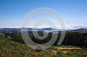 Muir Beach California Landscape Environment