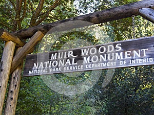 Muir Woods Forest Hiking Path Sign photo
