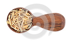 Muira Puama herbal tea in wooden spoon, isolated on white background. Natural potency wood, medicinal plant, dry tea