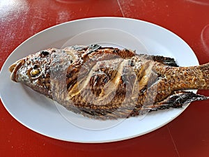 Mujaer fish ikan bakar mujaer fresh