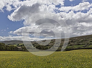 Prados el gran el cielo 