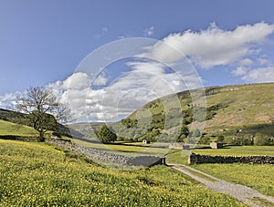 Muker meadows blue sky