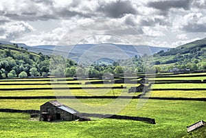 Muker Meadows - The Dales photo