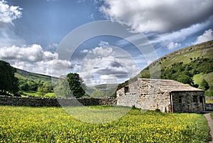 Muker Meadows - The Dales photo