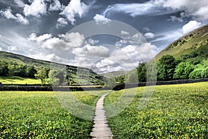 Muker Meadows ~ The Dales