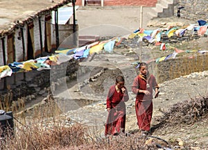 little children boys Buddhist monks in the courtyard of a monastery in the Himalayas