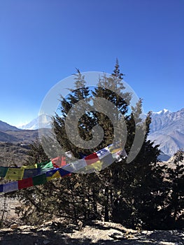 Muktinath Valley in Mustang District, Nepal in Winter.