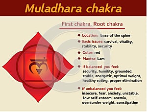 Muladhara chakra infographic. First, root chakra symbol description and features. Information for kundalini yoga