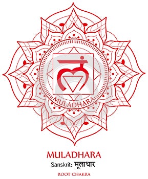 Muladhara chakra vector photo
