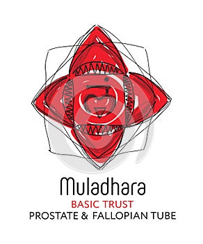 Muladhara - the first primary chakra. Vector drawing illustration, poster - for yoga studio. Energy center of human body