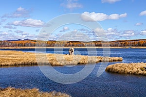 Mulan Wei Chang in autumn photo