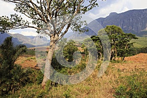 Mulanje Massif