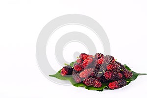 Mulberries fruit and mulberry leaf on white background healthy mulberry fruit food isolated