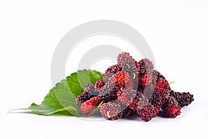 Mulberries fruit and mulberry leaf on white background healthy mulberry fruit food isolated