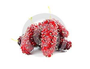 Mulberries isolated on white background