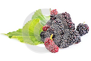 Mulberries with leaf isolated on white.