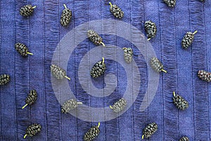 Mulberries on Purple Textile in Pattern