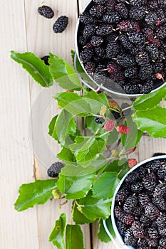 Mulberries in small buckets