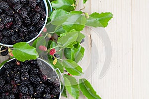 Mulberries in small buckets