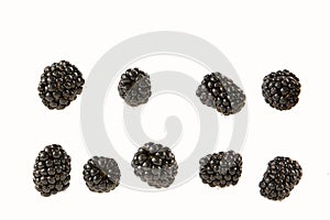 Mulberry berries isolated on a white  in a chaotic manner