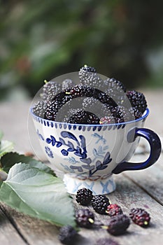 mulberry in a cup