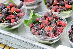 The mulberry fruit in the blow