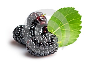 Mulberry fruits with green leaves isolated on white background