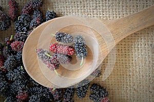 Mulberry fruits on wooden scoop