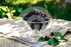 Mulberry in a glass on table. Useful berries in the summer season