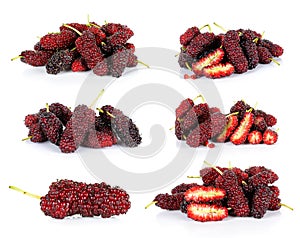 Mulberry isolated on the white background