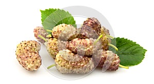 Mulberry with leafs