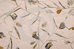 Mulberry paper texture background in close-up