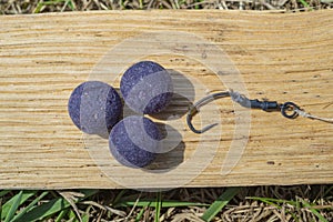 Mulberry Plum purple boilies with fishing hook. Fishing rig for carps, boilie rig, near the lake on a piece of wood