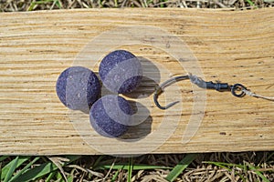 Mulberry Plum purple boilies with fishing hook. Fishing rig for carps, boilie rig, near the lake on a piece of wood photo
