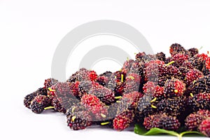 Mulberry is a superfruit for health mulberry on white background healthy mulberry fruit food isolated