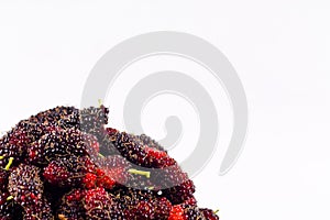 Mulberry is a sweet fruit which It is on white background healthy mulberry fruit food isolated
