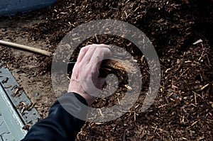 Mulch bark from pieces of pine and spruce to prevent weeds from growing and germinating gardener carries it on the back of a deliv