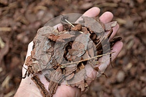 Mulch bark from pieces of pine and spruce to prevent weeds from growing and germinating gardener carries it on the back of a deliv