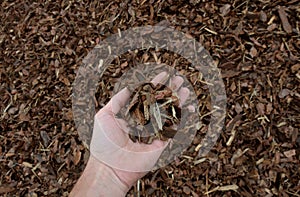 Mulch bark from pieces of pine and spruce to prevent weeds from growing and germinating gardener carries it on the back of a deliv